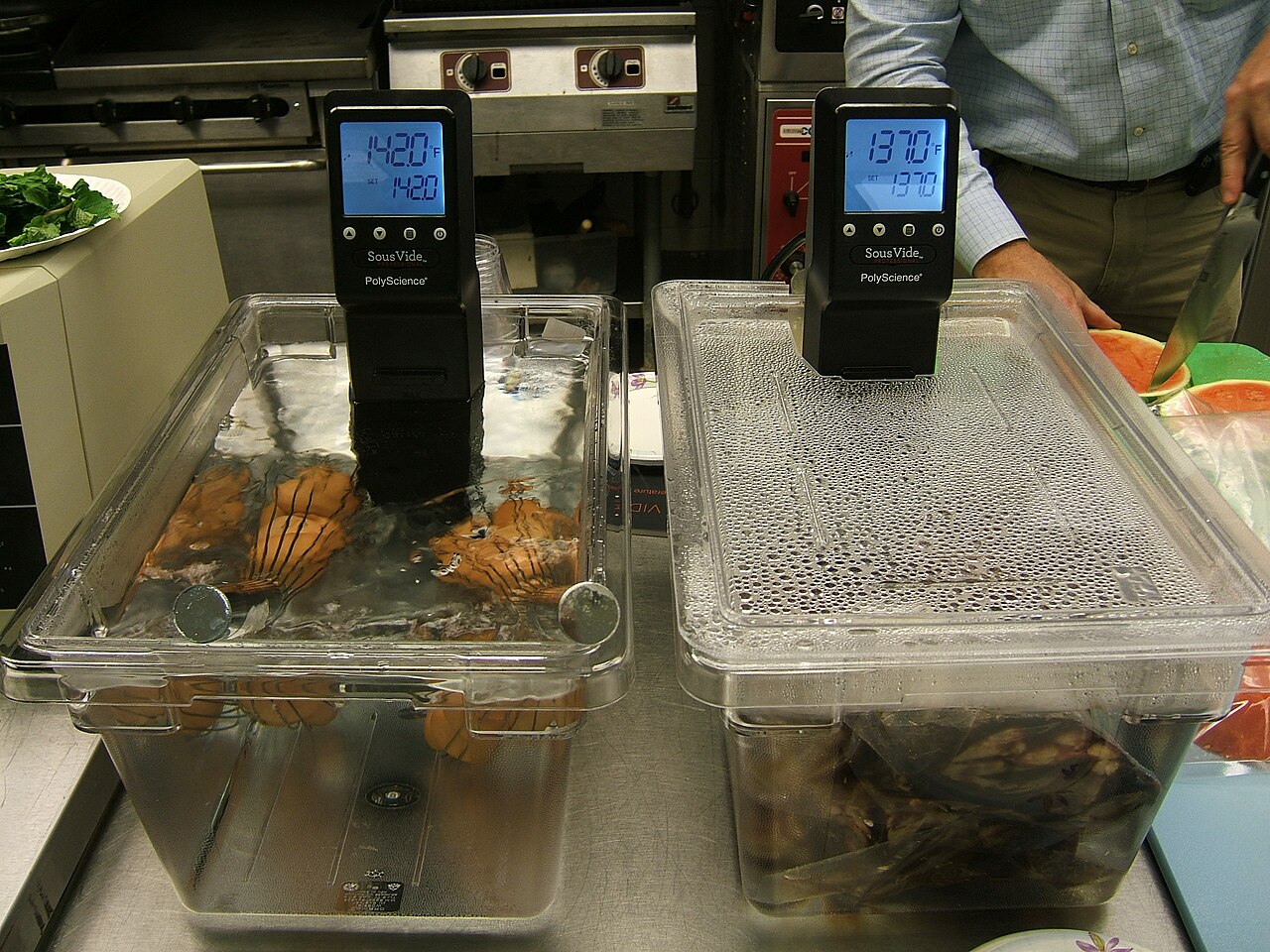 Sous Vide Setup: Choosing Your Immersion Circulator & Sealer
